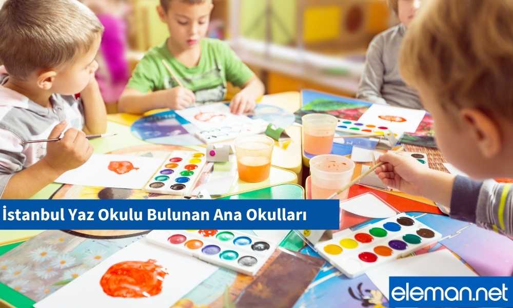 Yaz Okulu Bulunan Ana Okulları İstanbul
