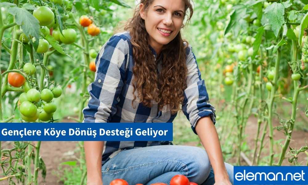 Köye Dönüş Desteği
