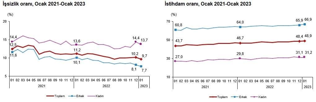 tuik-issizlik-verileri