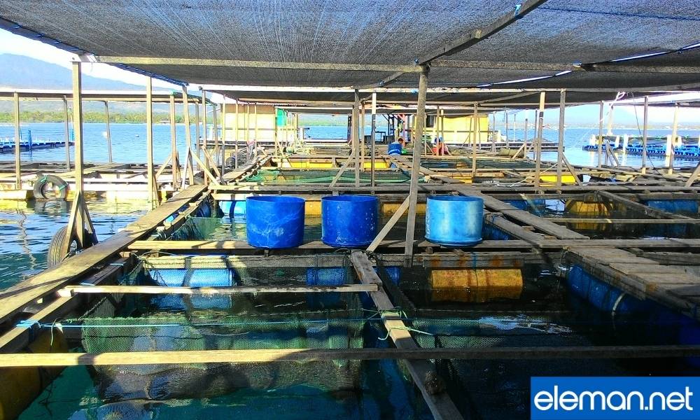 Balıkçılık Teknolojisi Bölümü İş İmkanları