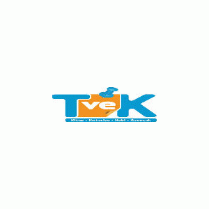 Ve t