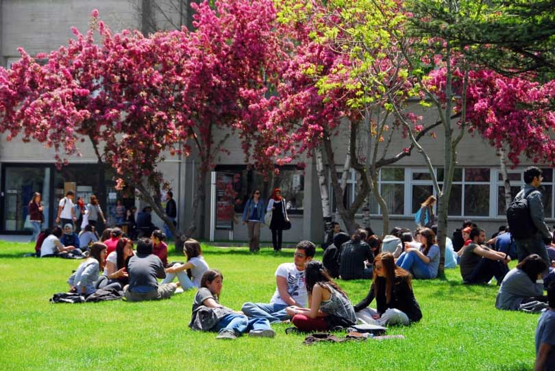 Hacettepe Üniversitesi