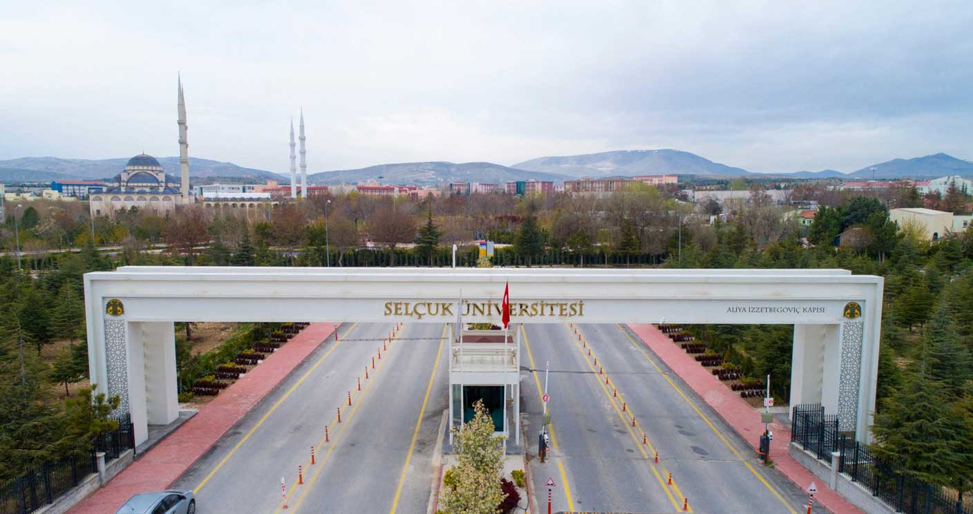 sel-uk-niversitesi-eleman